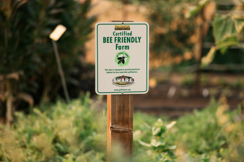 Certified bee-friendly farm sign at Cakebread Cellars, promoting sustainable and eco-friendly vineyard practices.