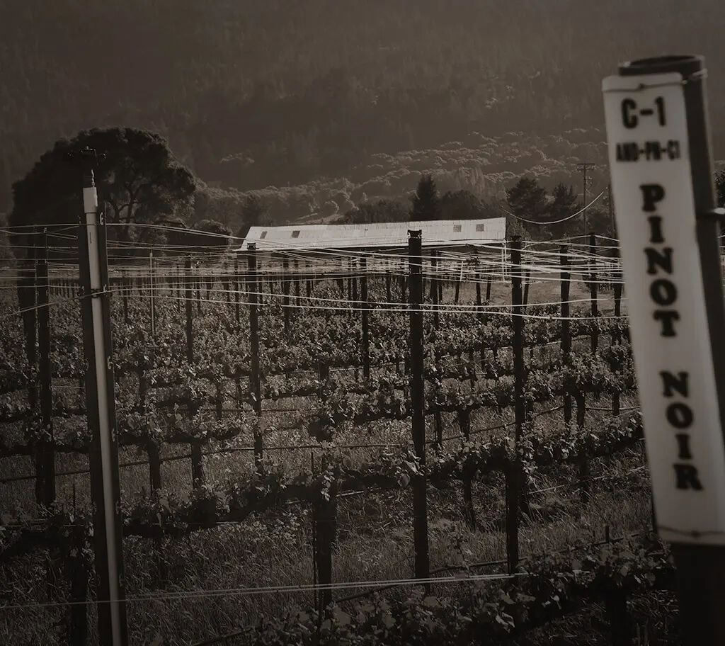 Photo from 1994