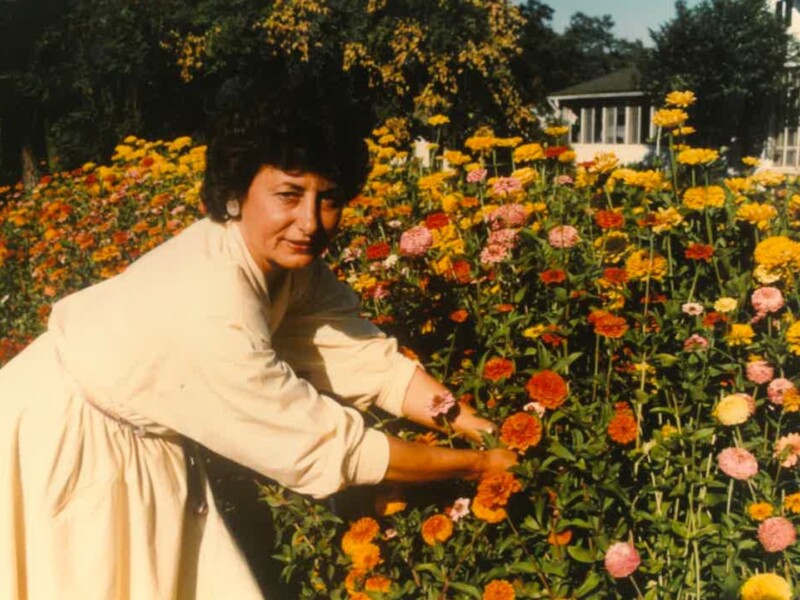 A woman tending to a vibrant flower garden at Cakebread Cellars.